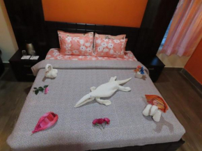 Bhitarkanika ECO Resorts River side